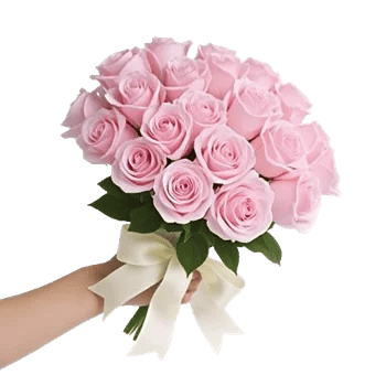 Pastel Pink Roses