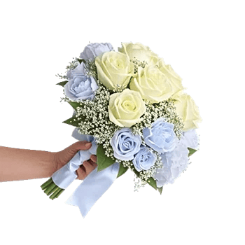 Serene Petal Harmony