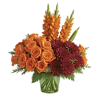Petal Radiance Bliss