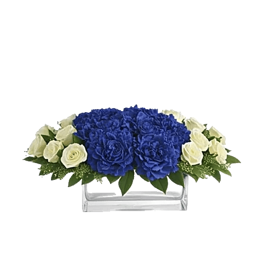 Elegant Blue Roses
