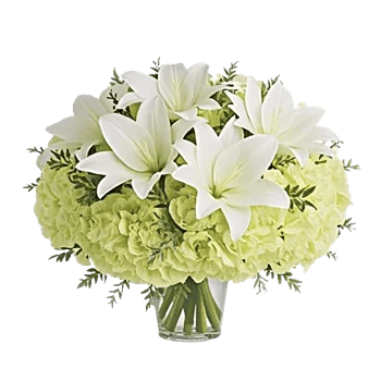 Graceful Lily Display