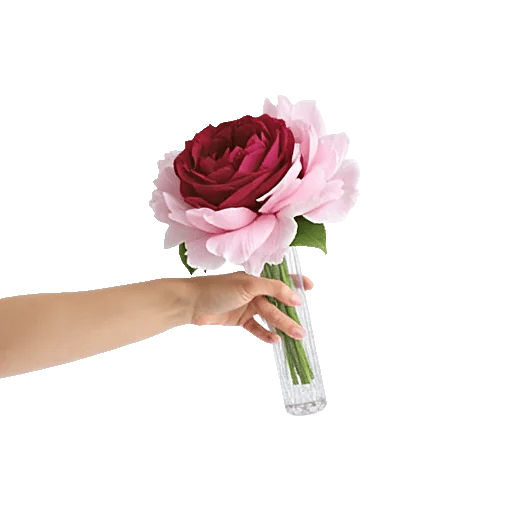 Crimson Blossom Harmony