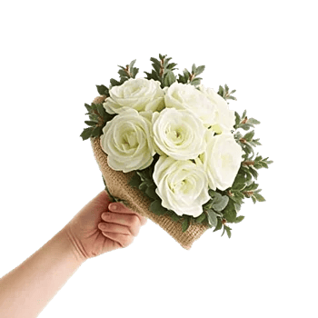 Ivory Garden Grace