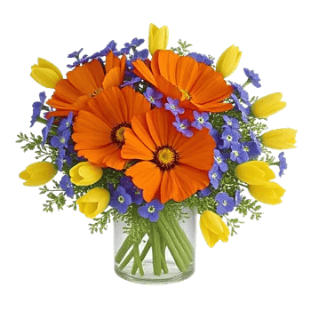 Petal Radiance Bliss