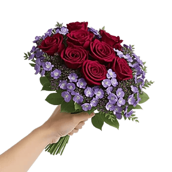 Crimson Rose Elegance