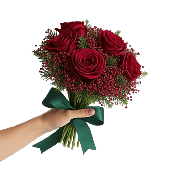 Crimson Rose Elegance