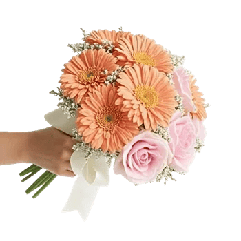 Peony Petal Harmony