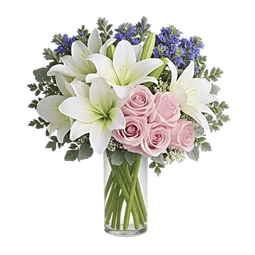 Ivory Blossom Radiance
