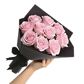 Pink Pastel Roses