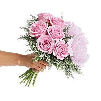 Pastel Pink Roses