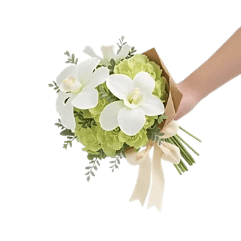 Minimalist White Orchids