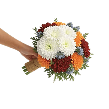 Blossom Petal Serenity