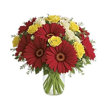 Petal Radiance Bliss
