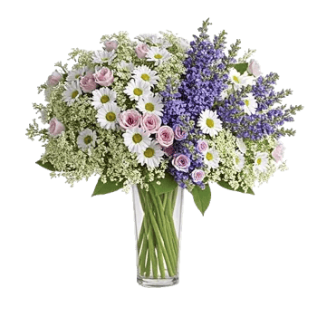 Ivory Blossom Radiance