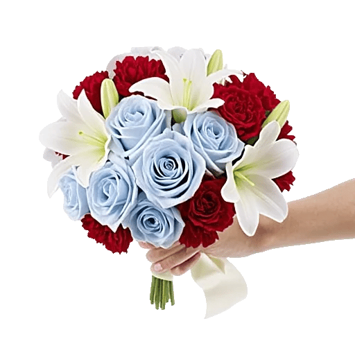 Blushing Rose Symphony