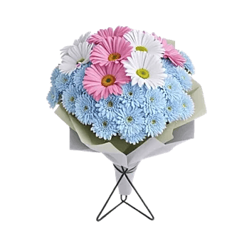 Delicate Petal Cascade