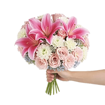 Blossom Petal Serenity