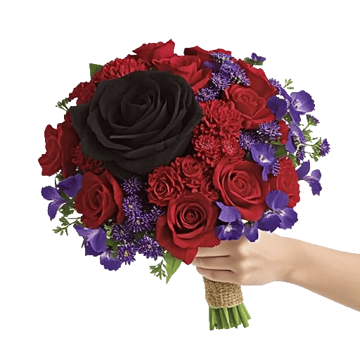 Crimson Rose Elegance