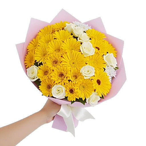 Blossom Harmony Display