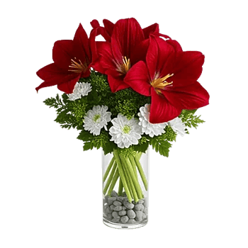 Crimson Blossom Harmony