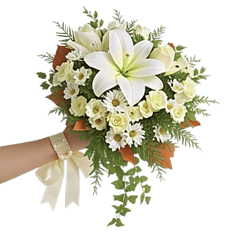 Delicate Petal Cascade