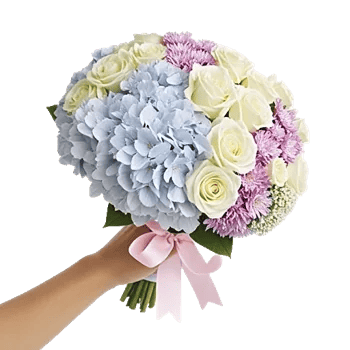 Serene Petal Harmony