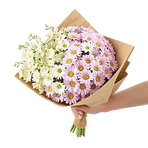 Blossom Harmony Display