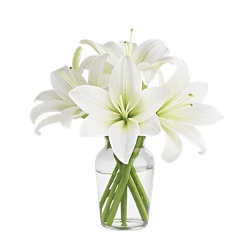 Graceful Lily Display