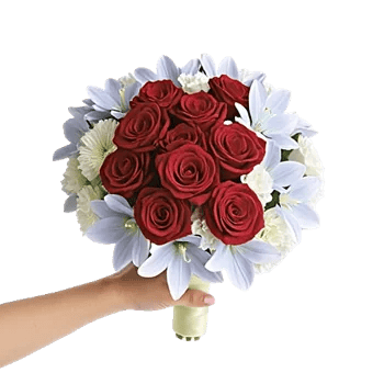 Blushing Rose Symphony