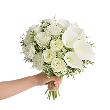 Ivory Garden Grace