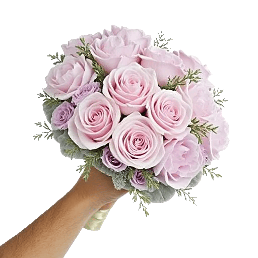 Pastel Pink Roses