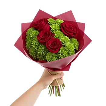 Crimson Rose Elegance