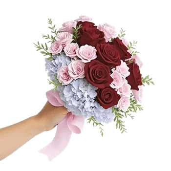 Blushing Rose Symphony