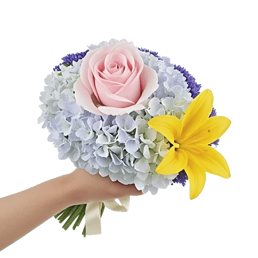 Serene Petal Harmony