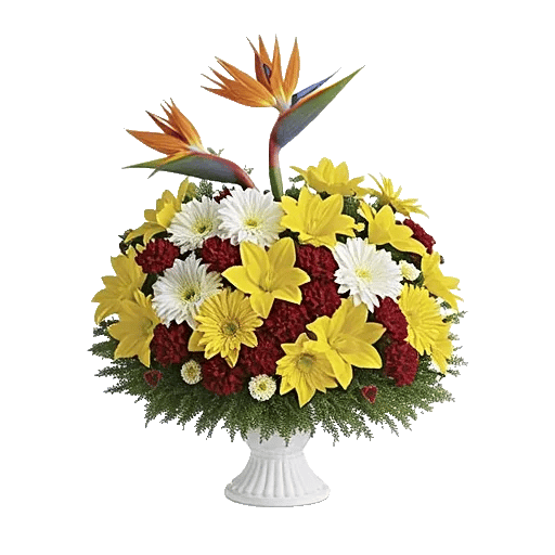 Petal Radiance Bliss