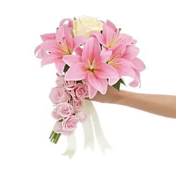 Delicate Petal Cascade