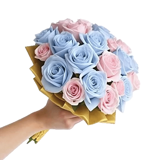 Elegant Blue Roses
