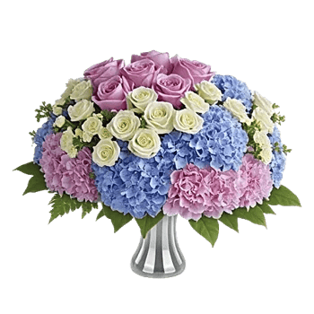 Lavender Bloom Grace