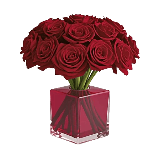 Crimson Rose Elegance