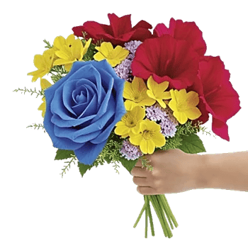 Elegant Blue Roses