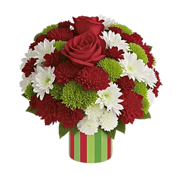 Crimson Rose Elegance