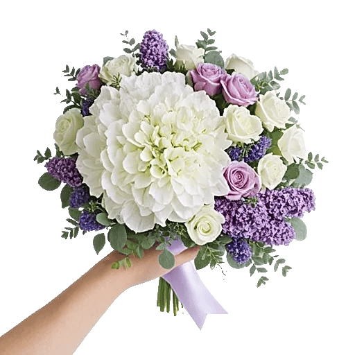 Serene Petal Harmony