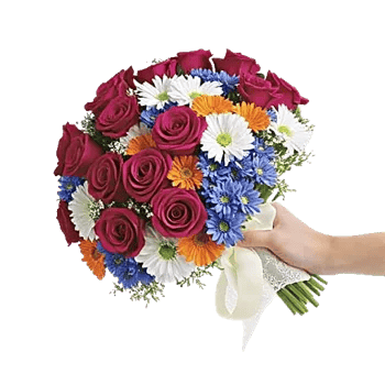 Blushing Rose Symphony