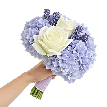 Serene Petal Harmony