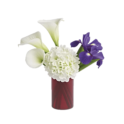 Elegant Calla Lilies