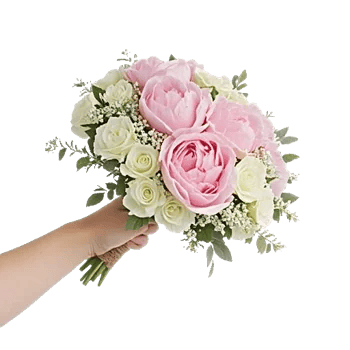 Peony Petal Harmony