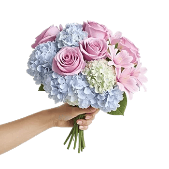 Serene Petal Harmony
