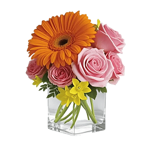 Petal Radiance Bliss