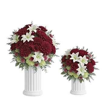 Elegant Calla Lilies