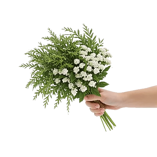 Delicate Petal Cascade